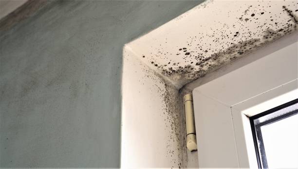Best HVAC Mold Inspection and Cleaning  in Pacific Grove, CA