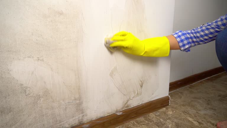 Best Mold Prevention Services  in Pacific Grove, CA