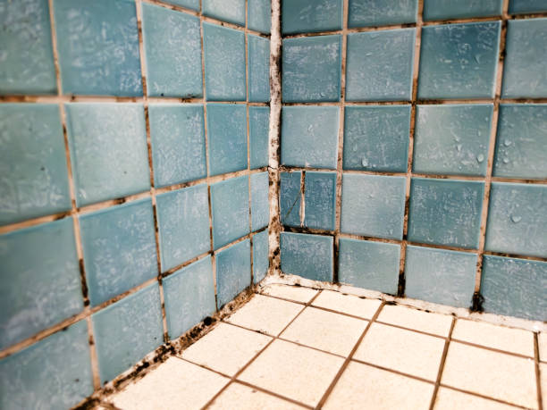 Best Mold Remediation for Healthcare Facilities  in Pacific Grove, CA