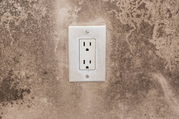  Pacific Grove, CA Mold Removal Pros